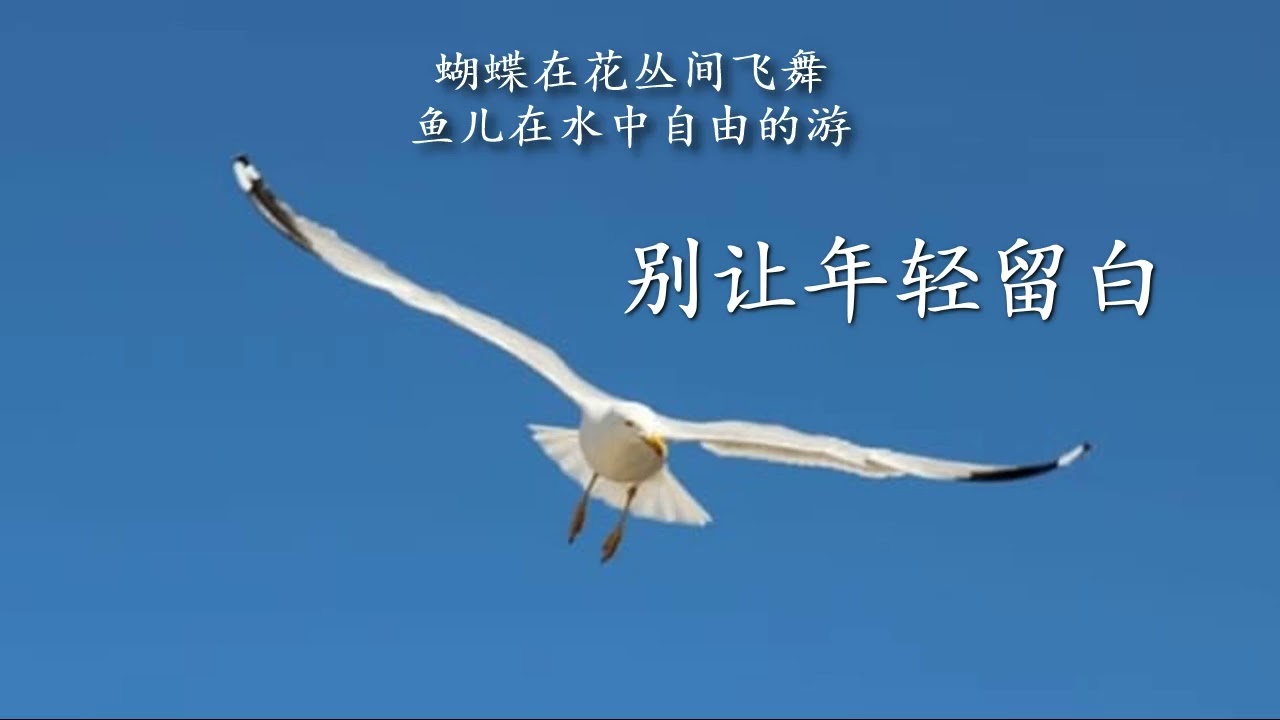 别让年轻留白（风子阿强创作）