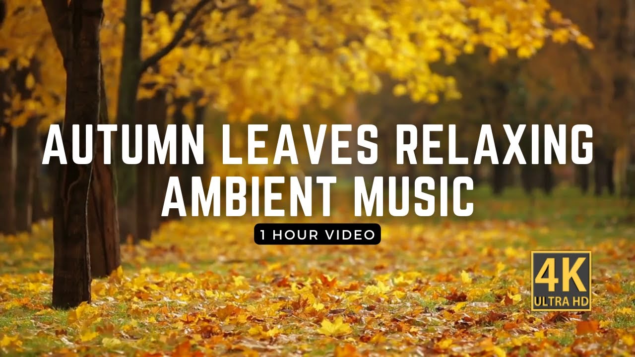 Perfect Autumn Relaxing and Uplifting Ambient Music | 1 Hour Video | 4K Ultra HD