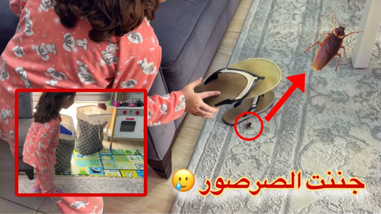 صرصور كبير بين الألعاب 😳 | تالين هربت والين خلصتنا منه
