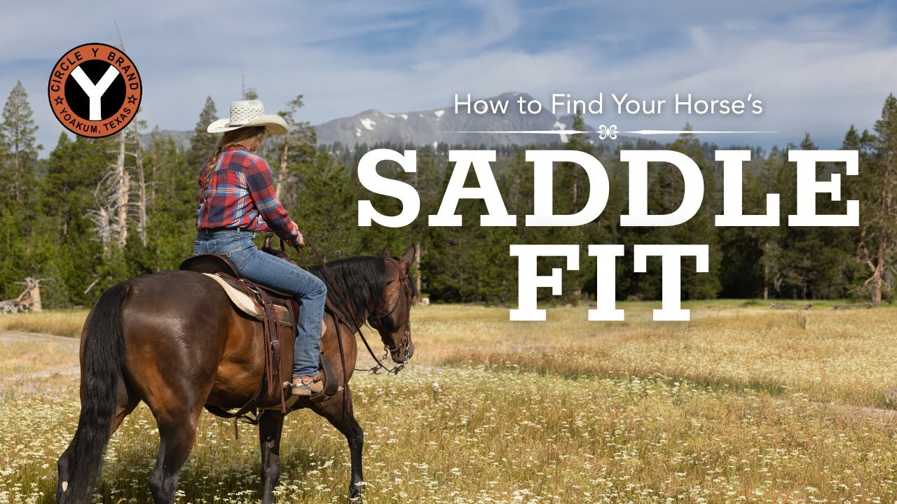 How to Find the Correct Saddle Fit for Your Horse