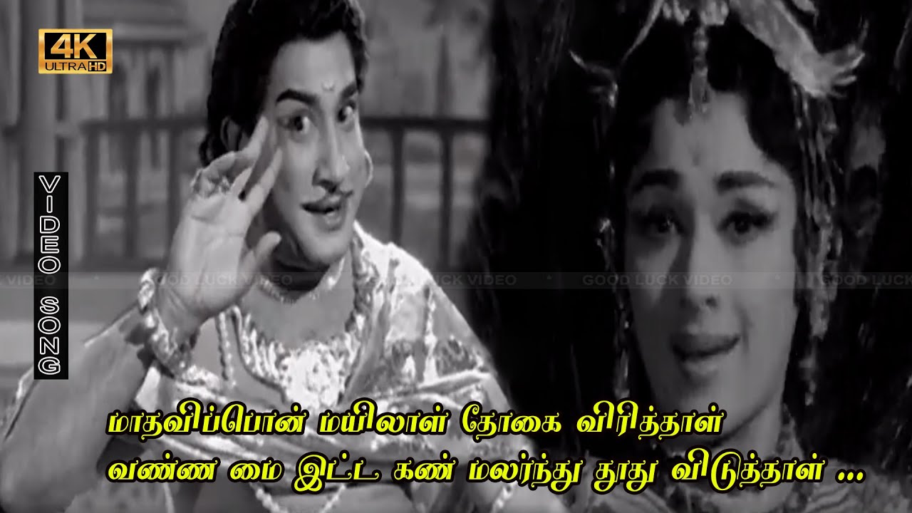 மாதவிப்பொன் மயிலாள் தோகை விரித்தாள் பாடல் | Madhavi Pon Mayilaal song | சிவாஜி, பத்மினி காதல் பாடல்.