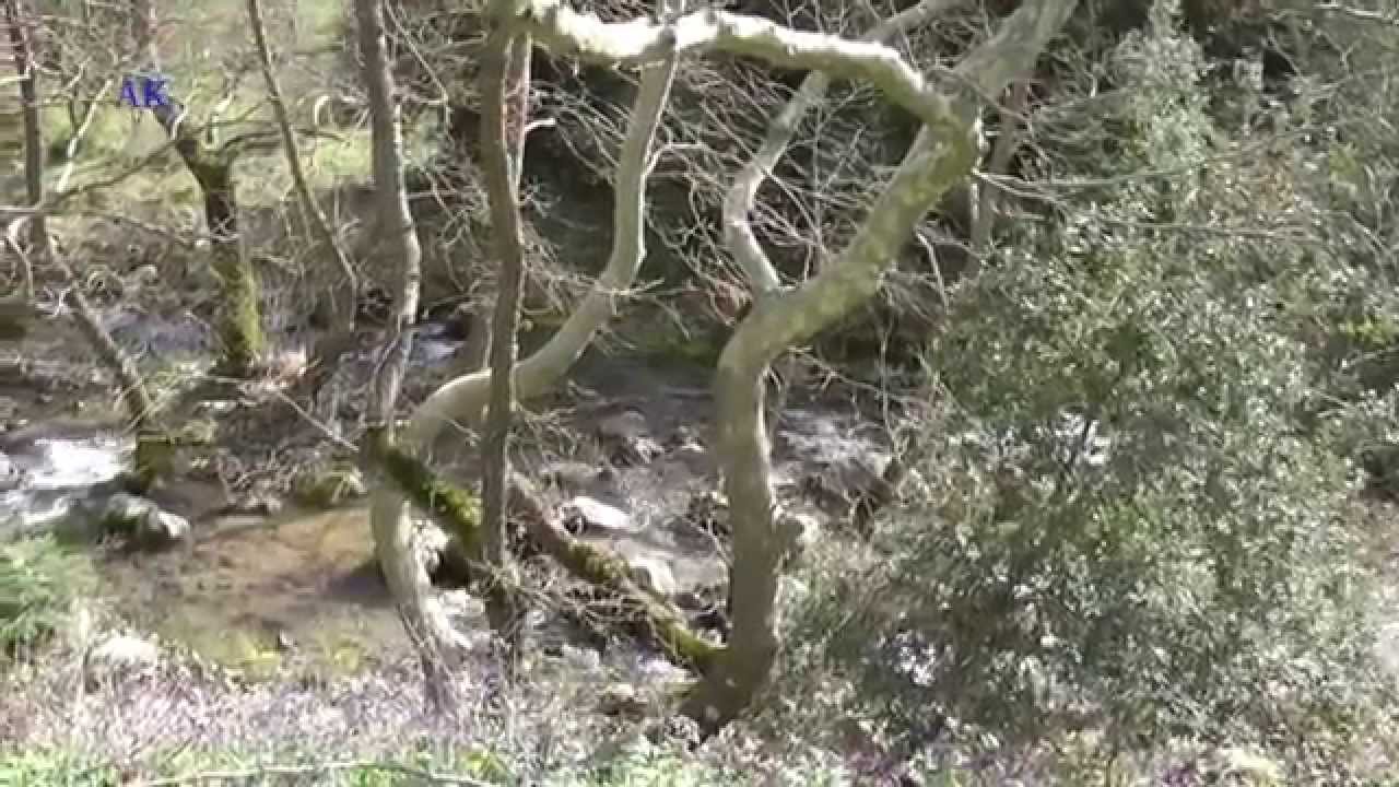Παρνασσός Μπαρουτοσπηλιά