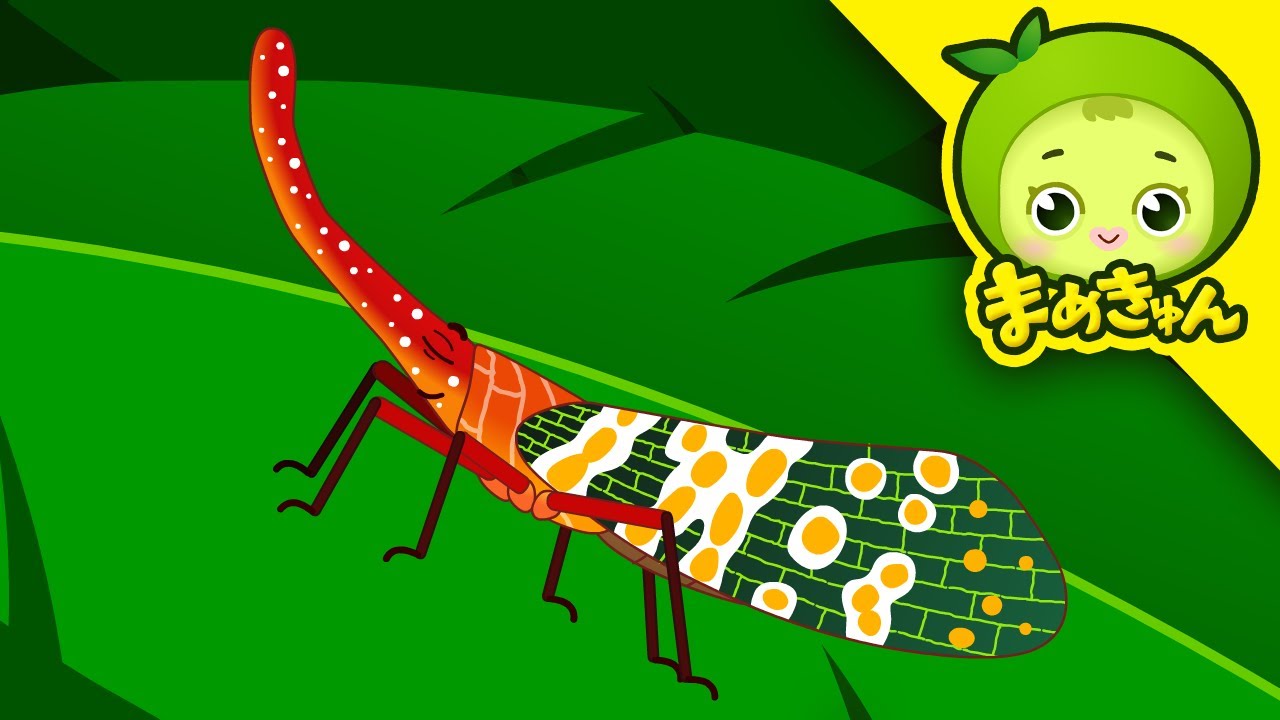 ビワハゴロモ | 昆虫救助隊 | こんちゅうレスキューたい | まめきゅん MAMEKYUNN