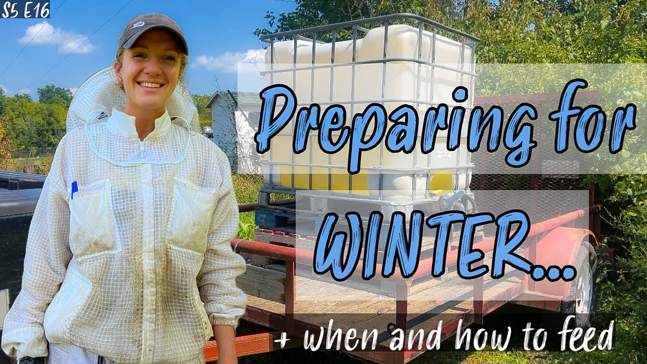 Fall Feeding: When Is The BEST Time To Feed Bee Hives? Beekeeping 101 #beekeeping