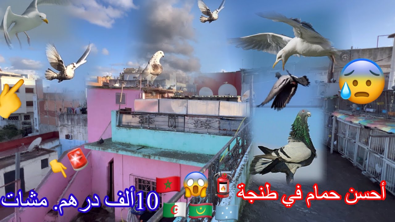 أحسن ❤️_#حمام#الخينيسي😱في المغرب 🇲🇦#الجديد_El #🇪🇸🚨👇🧯😱😱mejor#hammam#de#tanger#🫡😰🇲🇦#🇩🇿
