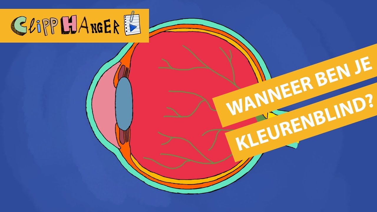 Wanneer ben je kleurenblind?