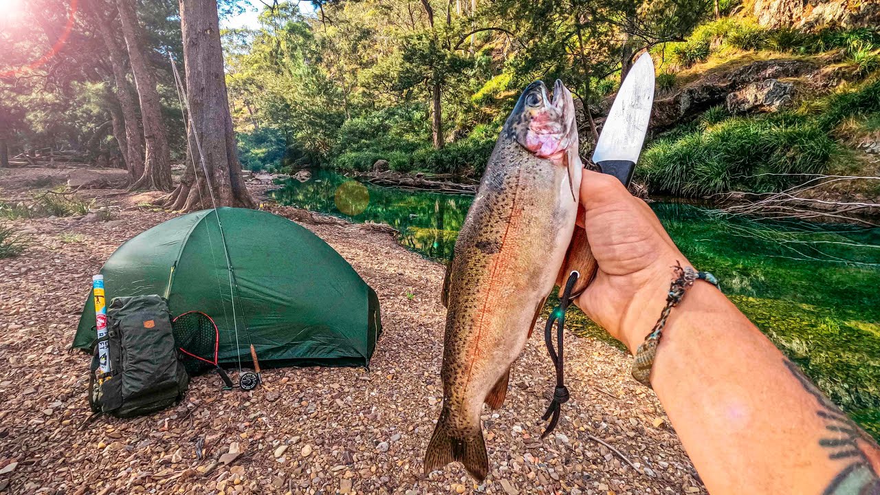 Solo Camping & Mountain Fly Fishing (Trout Catch & Cook)