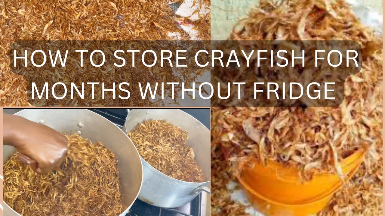 How to Store Crayfish For Months Without Fridge | Keep Crayfish Fresh for Long/ Easy Method