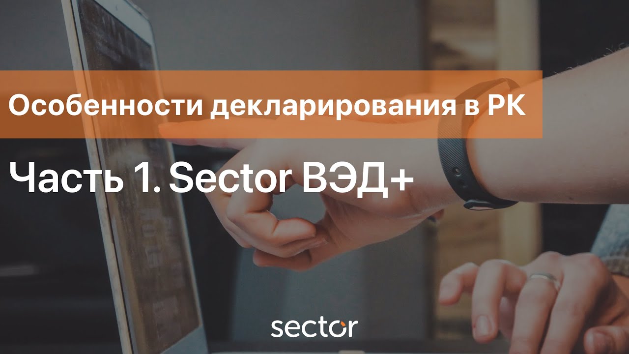 Часть 1. Особенности декларирования в РК: Sector ВЭД+