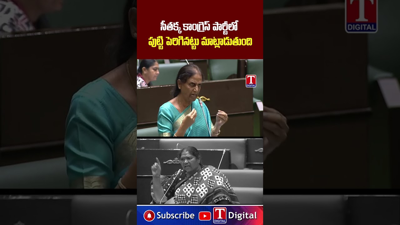 సీతక్క కాంగ్రెస్ పార్టీలో పుట్టి పెరిగినట్టు మాట్లాడుతుంది #sabitaindrareddy #seethakka #tnewslive