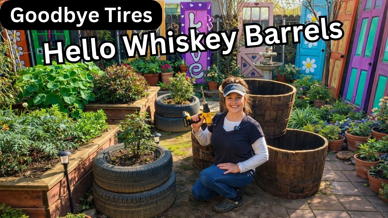 Replacing Old Tire Planters with Whiskey Barrels!