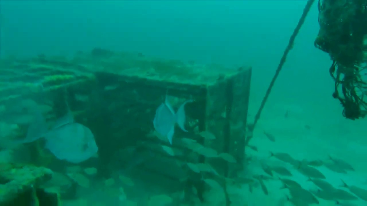 Artificial Reefs w/FAD S of Pensacola - StrikeLines Fishing Charts