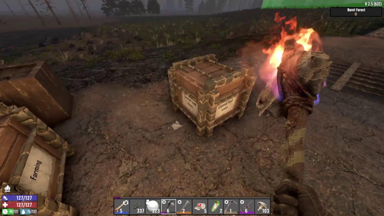 7 Days | Dedicated Server | PermaDeath Difficulty