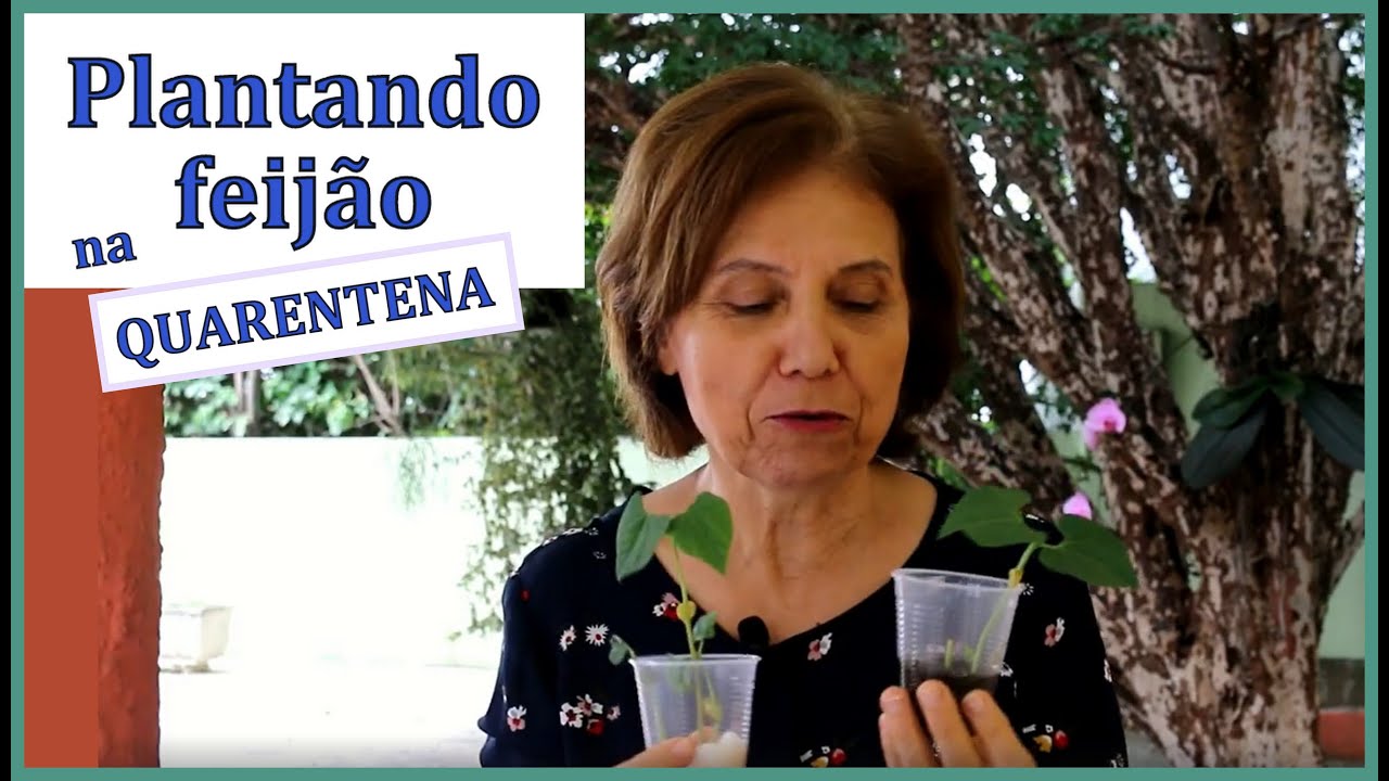 Desenvolver a inteligência naturalista da criança na quarentena