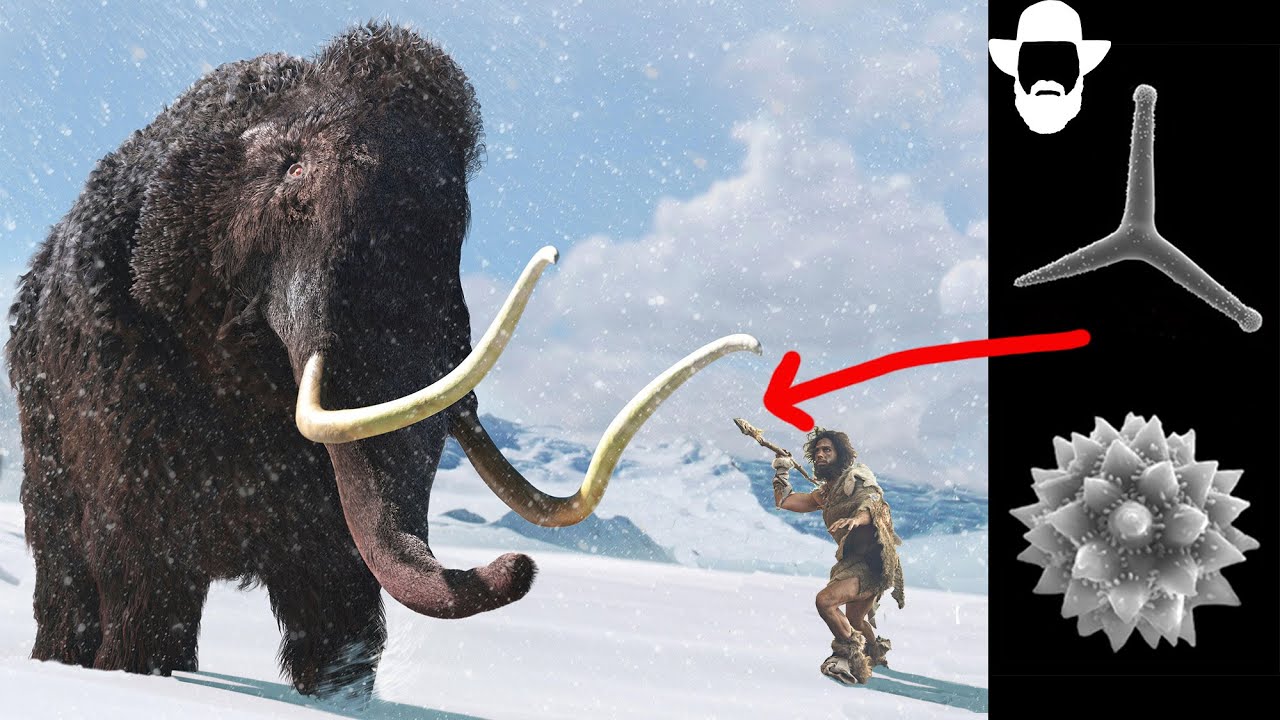 The Origin of Ice Age Weapons; Not What You Think