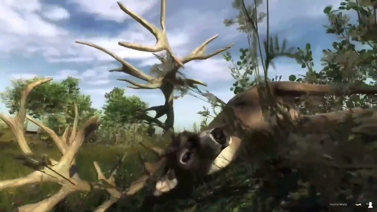 TheHunter Classic - whitetail deer