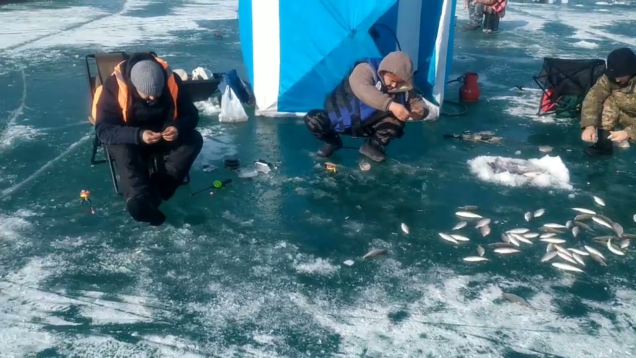 Рыбалка.Капчагайское водохранилище 
