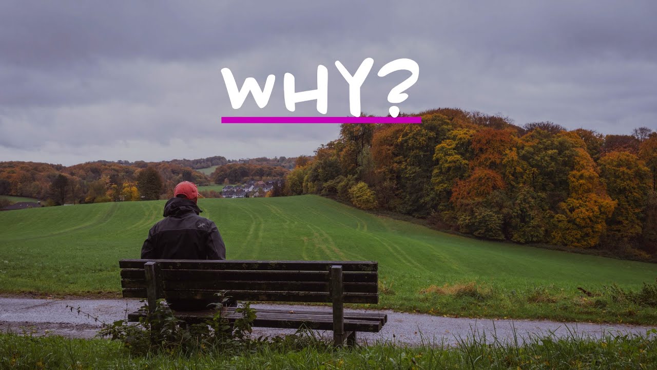 Why do we photograph?