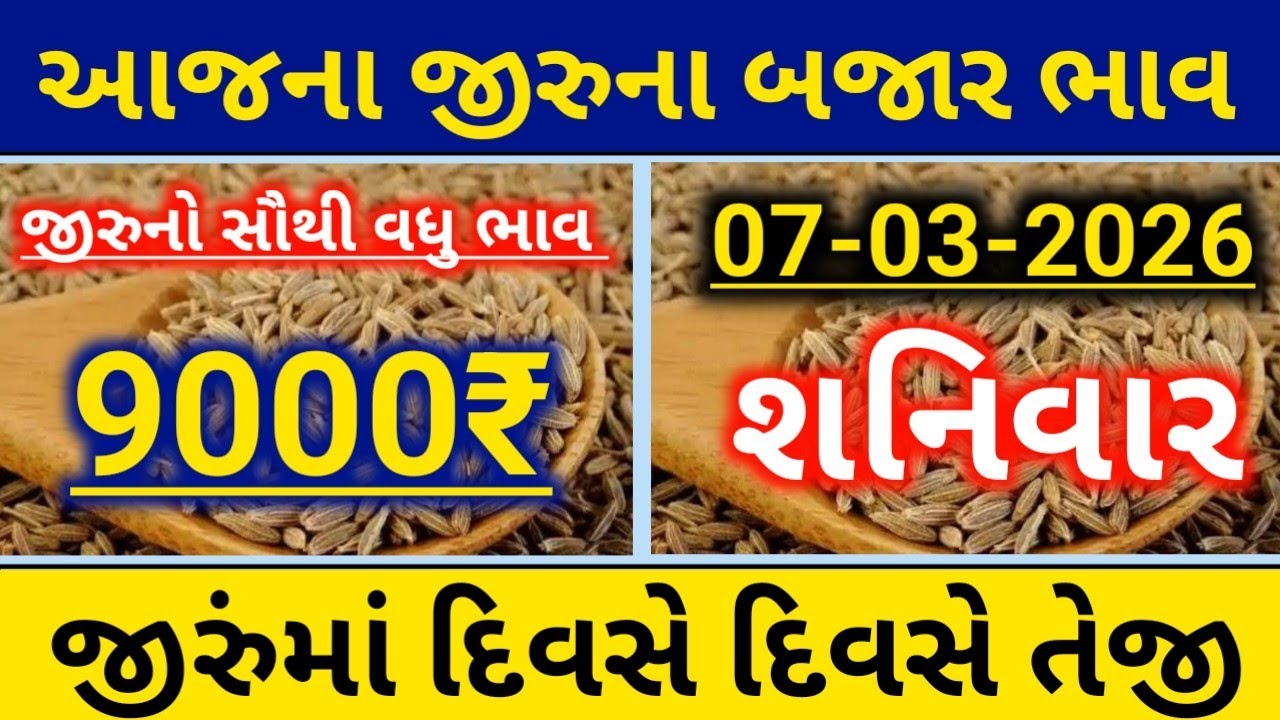 આજના જીરા ના બજાર ભાવ|| જીરાના ભાવ||9000₹||ગુજરાત માર્કેટ યાર્ડ ભાવ||જીરાના ભાવમાં દિવસે દિવસે તેજી