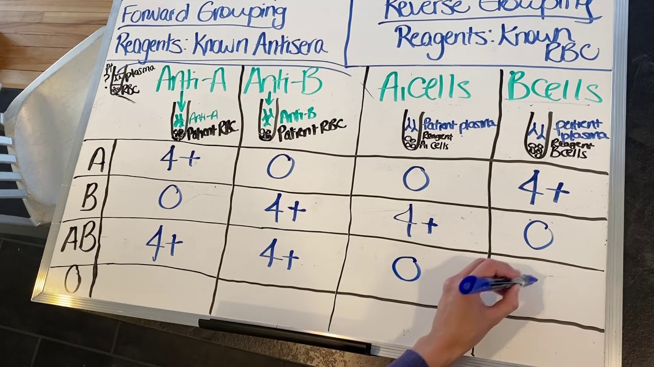 Forward and Reverse Grouping Part 2