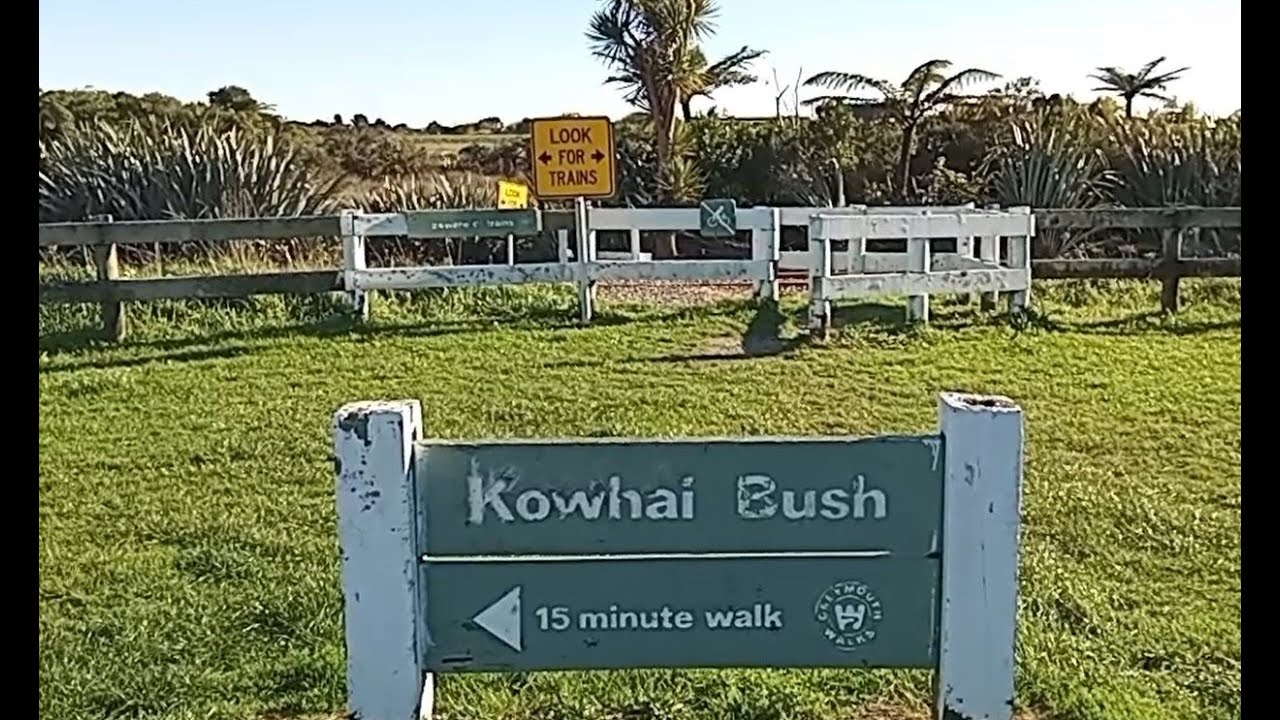 Kowhai Bush in Blaketown - we have a high of 10 degrees today but it's a sunny, crisp Winter's day.