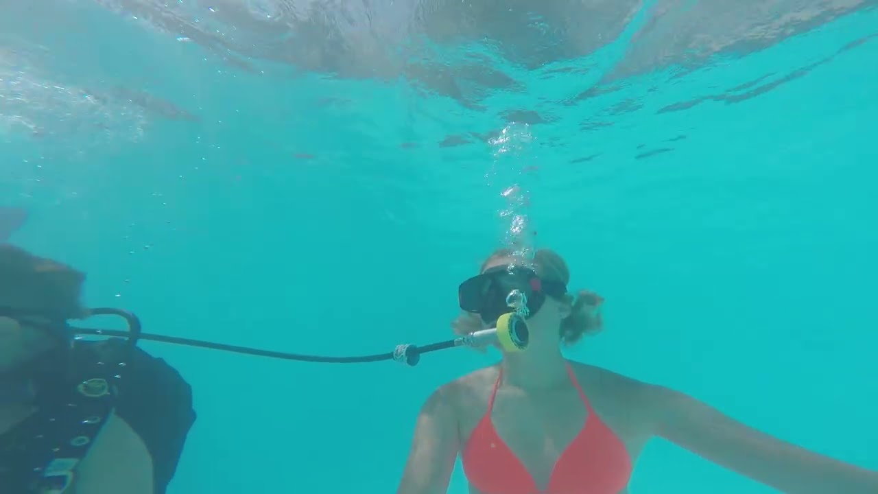 Victoria Diving