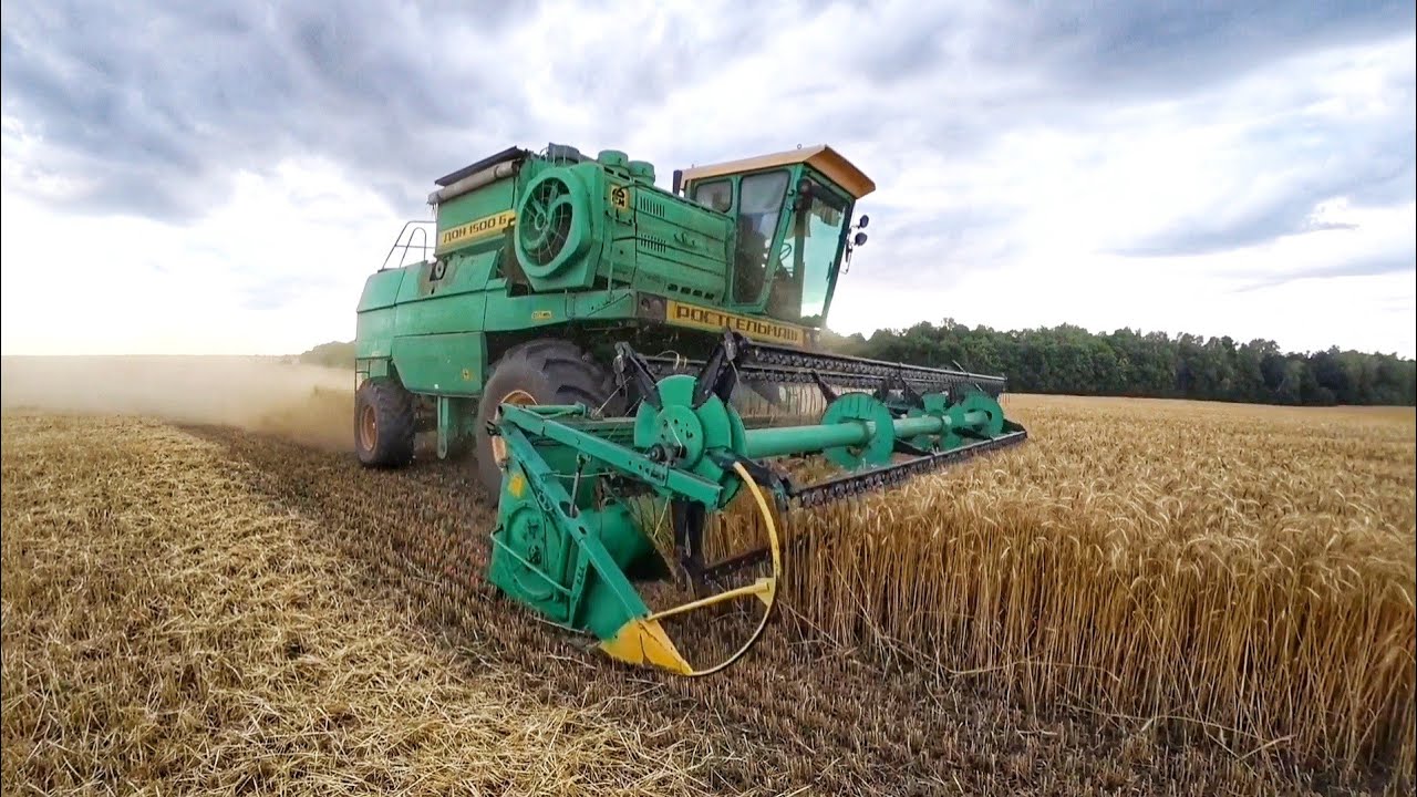 HARVEST 2021.ПОЛЕ НА БИОЛОГИИ. РЕЗУЛЬТАТЫ