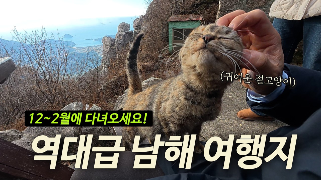 귀여운 고양이들이 반겨주는 겨울 남해 여행지🙌