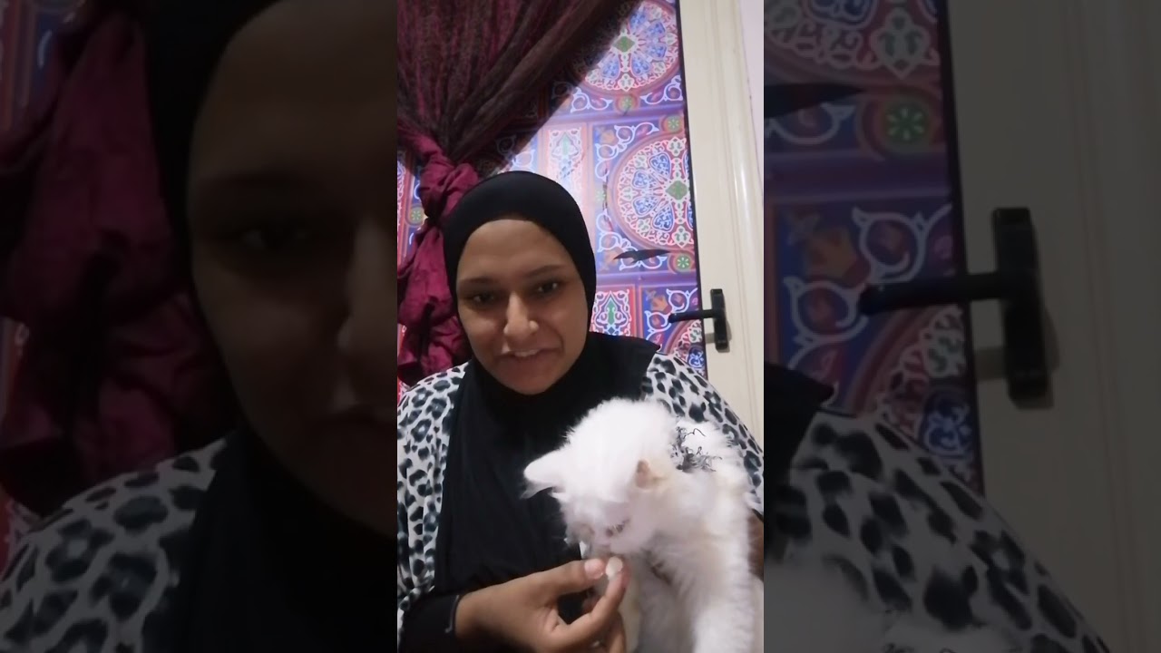 طريقة اعطاء جرعة الديدان للقطط 👌🏻🐈