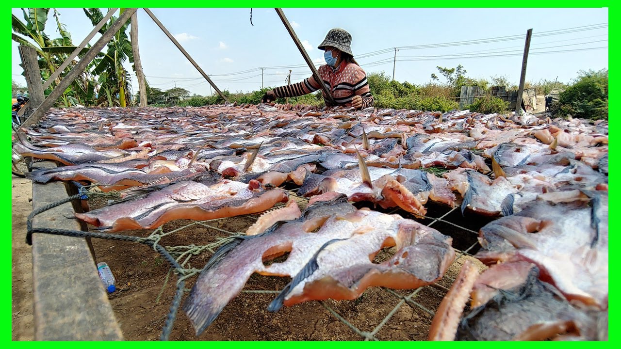 Khmer food / Khmer fish / How to dried fish on 2020 / food lifestyle.