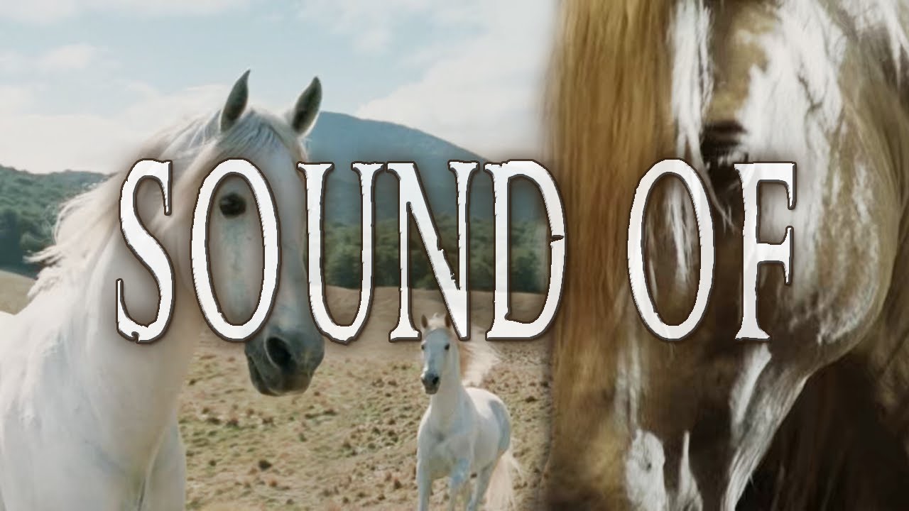 Lord of the Rings - Sound of the Mearas