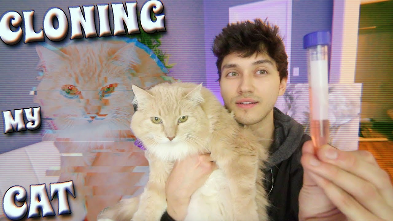 CLONING MY CAT!