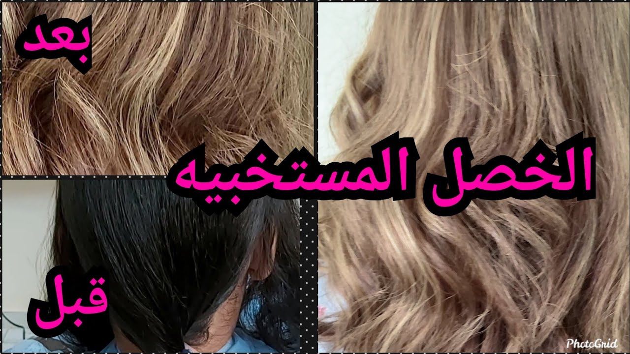هايلايت مدمج بكل تفاصيل الدرجات وتقسيمته 🤝