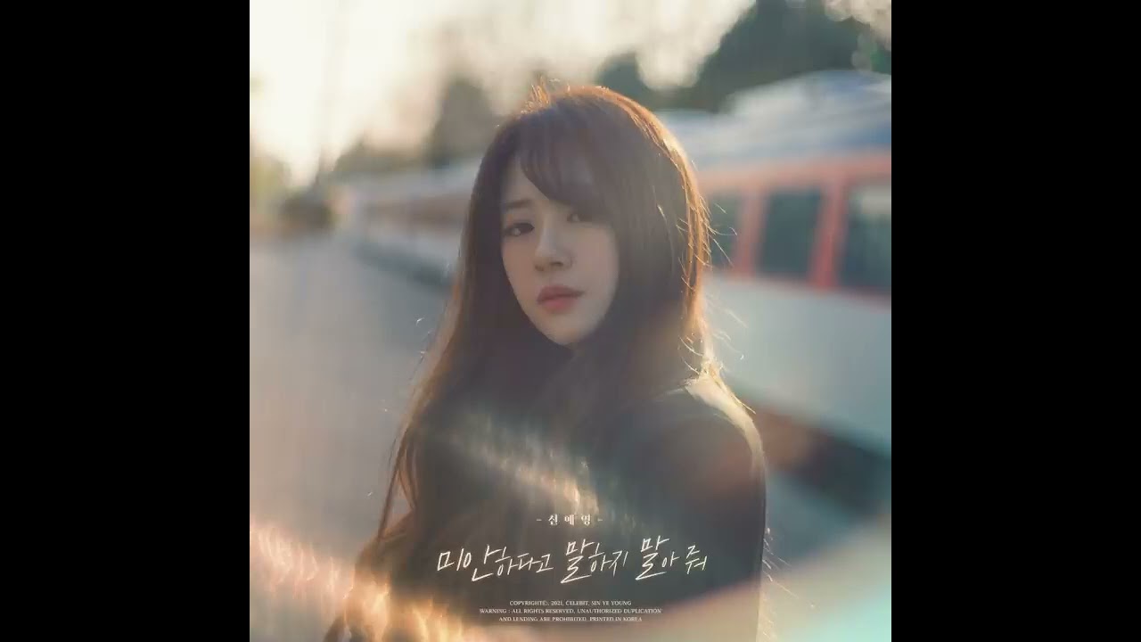 Don't Apologize 미안하다고 말하지 말아 줘