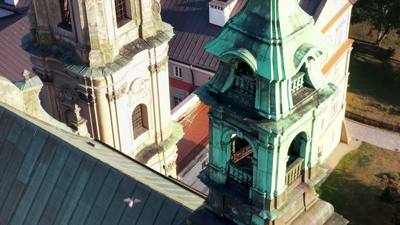 gołebie lecą w głębie a żyrafy wchodzą do szafy