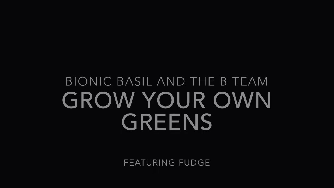 Basil & The B Team ~ Gardening with Cats ~ Grow Your Own Greens