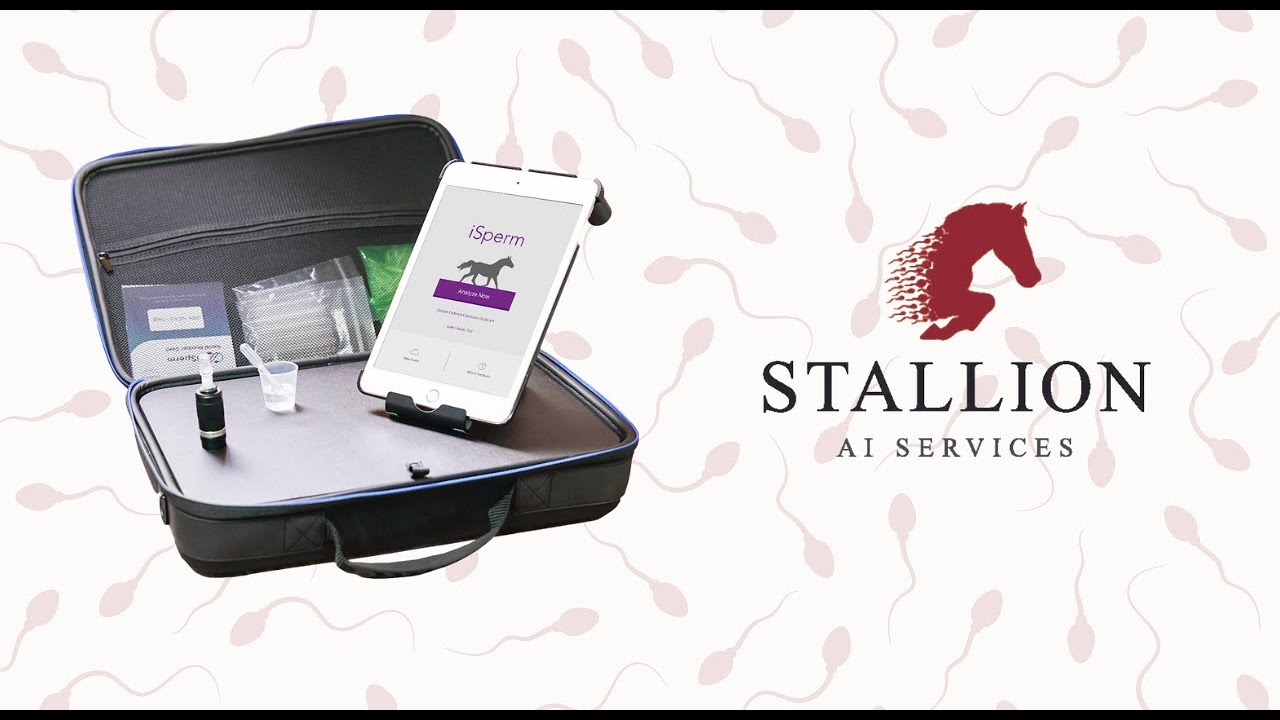 iSperm 6 Usage Instructions with Stallion AI Services