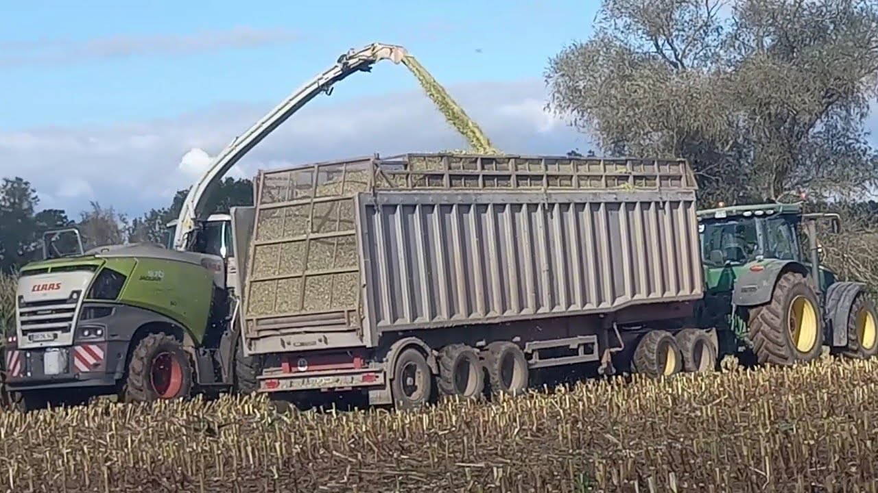Gut Hohen Luckow Maisernte.Jaguar 970,Fendt,JD7930/7250R/6250R,Kelberg/Freuhaufauflieger-Siga duo
