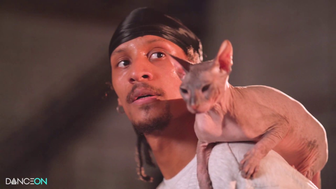 Cats The Movie | Macavity | Les Twins Dance Class