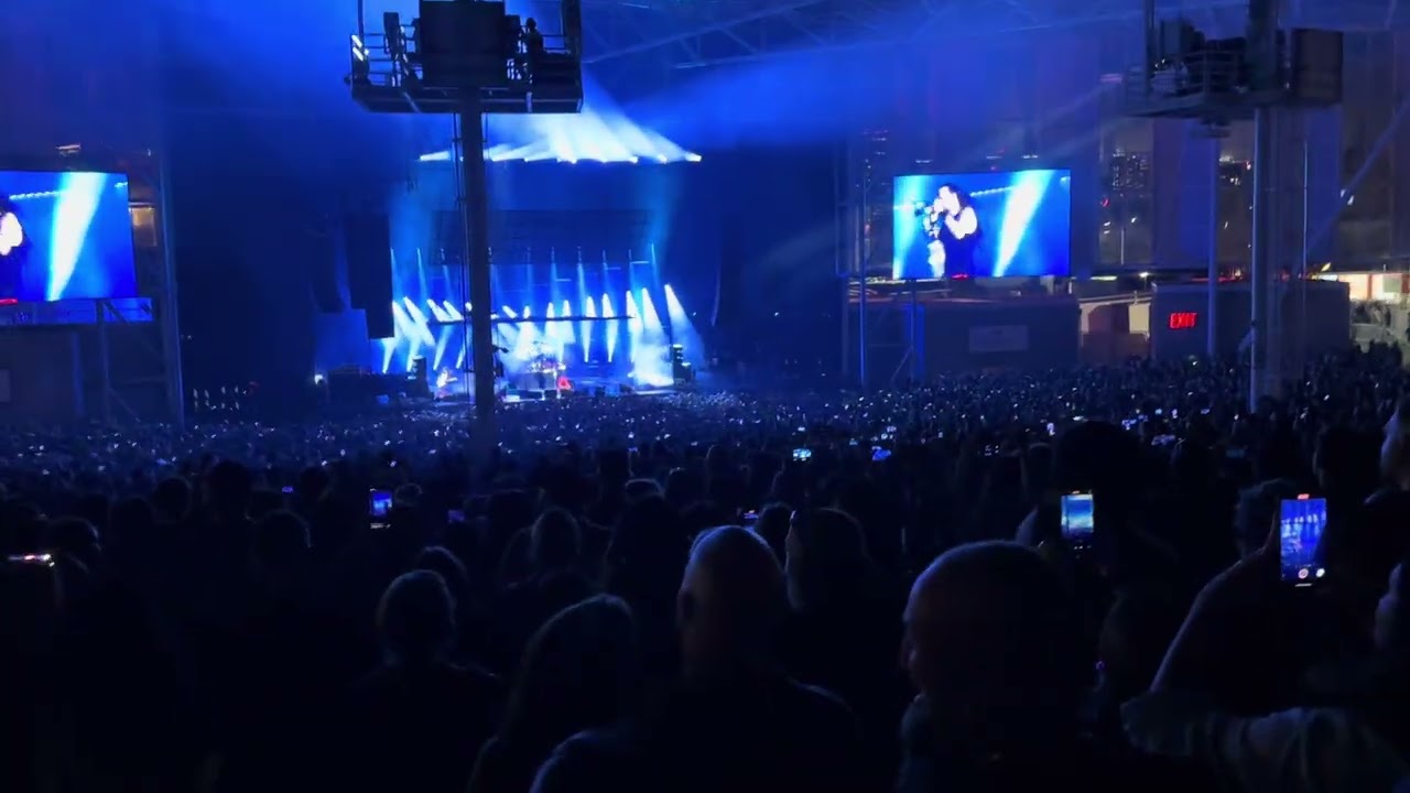 Korn blind