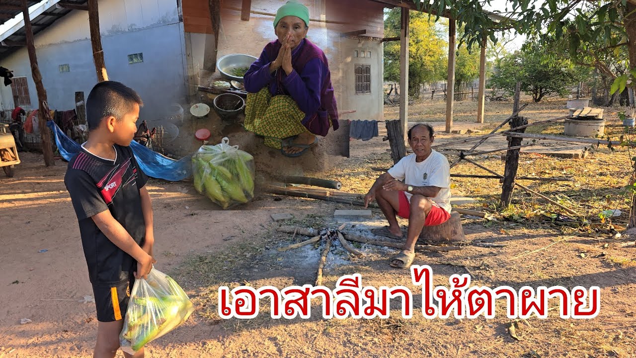 #บ้านตาผายมีคนป่วยมารักษาบ่อขาดเอาสาลีมาไห้เตียมย้างกันอึกกะทึก