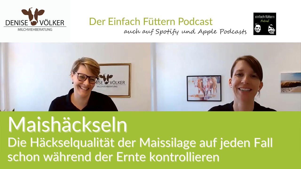 Maishäckseln - die Häckselqualität der Maissilage während der Ernte kontrollieren