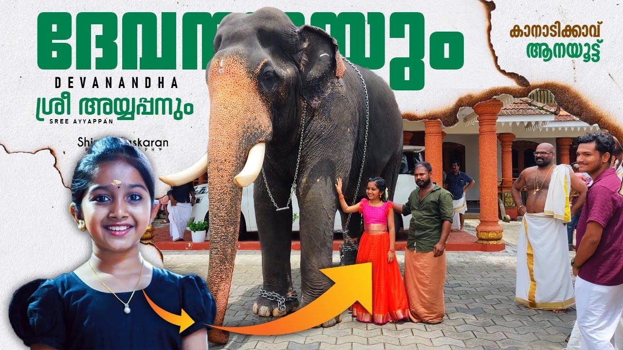ശ്രീ അയ്യപ്പന്റെ കൂടെ നിന്ന് ദേവനന്ദ 😅😁 | Cherpulassery Sree Ayyappan & Deva Nandha | Kanadikavu