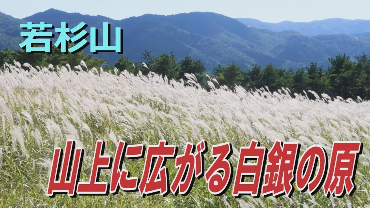 若杉山～山上に広がる白銀の原
