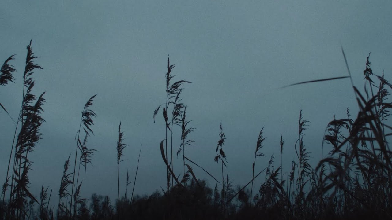 CRS - l&auml;cheln (Official Visualizer)