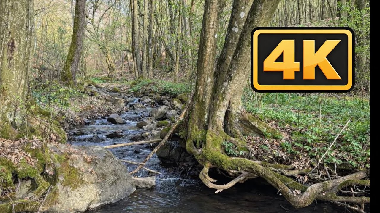 4 k mountain river during spring. Relax video 