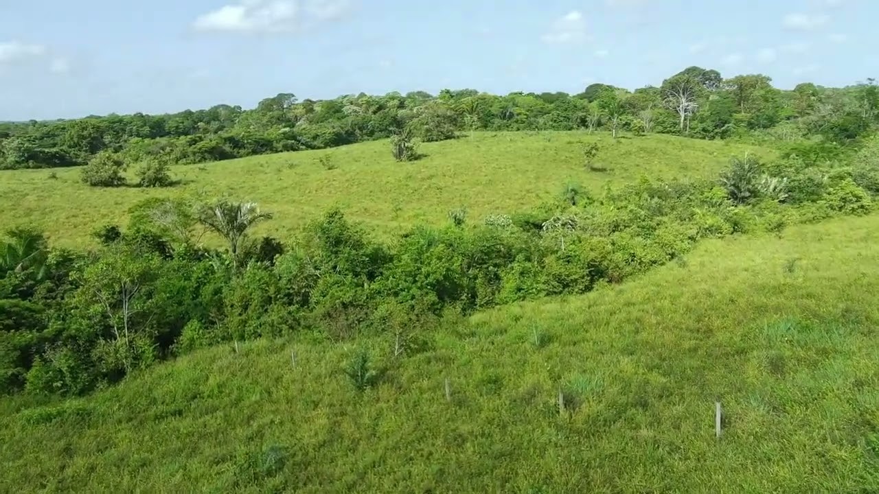 📣 VENDA – FAZENDA EM CASTANHAL/PA
