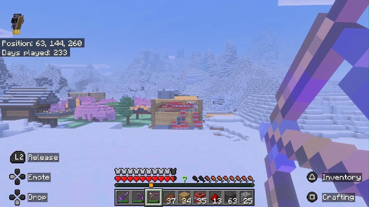 Minecraft_20260222173818