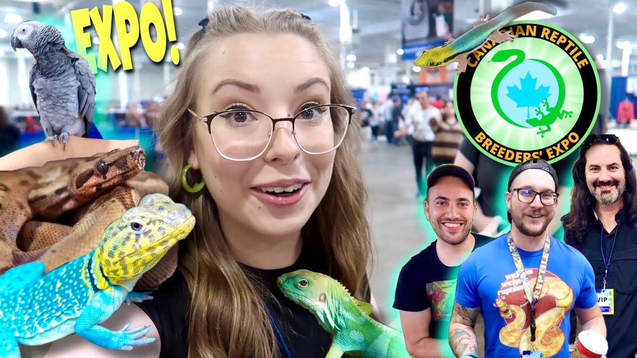 КРУПНЕЙШАЯ ВЫСТАВКА РЕПТИЛИЙ В КАНАДЕ! Canadian Reptile Breeders Expo 2022