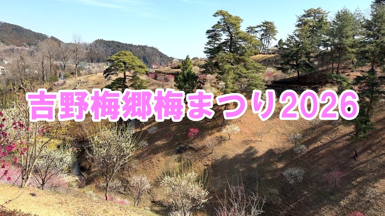 吉野梅郷梅まつり2026～Yoshino Baigo Plum Blossom Festival 2026